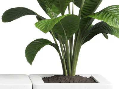 interior - exterior bench Low-poly 3D model