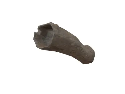 Fallen Tree Trunk v1 001 Low-poly 3D model