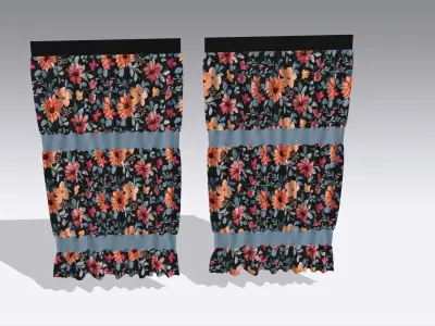 Curtain Low-poly 3D model 5