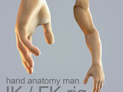set of hands  3D Model Pack