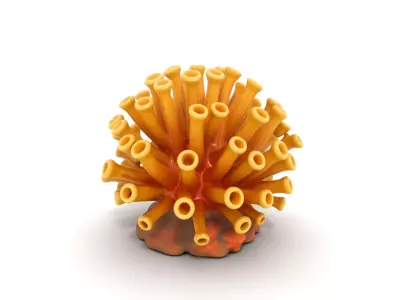 Golden Yellow Tubastraea Coral Model Low-poly 3D model