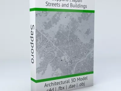 Sapporo Streets and Buildings 3D model