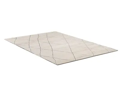 AANSHI WOOL RUG 3D model