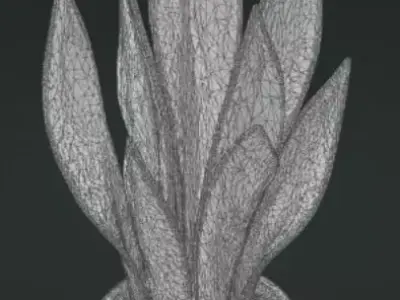 Snake plant 3D model