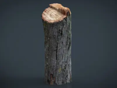 Wood Log 2 Low-poly 3D model