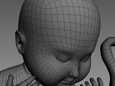 human fetus Low-poly 3D model