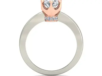 Women Ring  Render 3dm STL OBJ FBX Details 3D print model 101