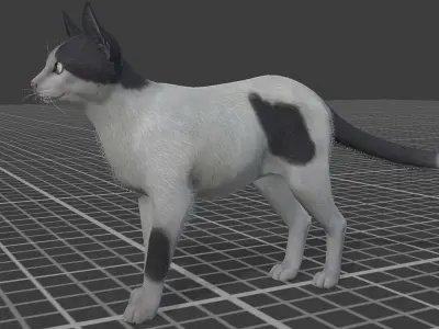 Cats -Stray Low-poly 3D model