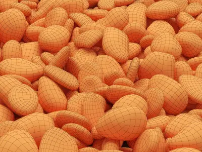 Pebble color 3D model