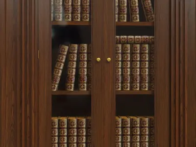 Built-in bookcase  900 3D model