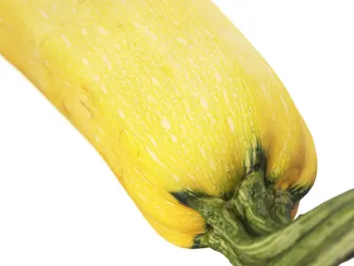 4k vegetable marrow 3D model