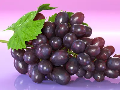  Bunch of Dark Grapes 