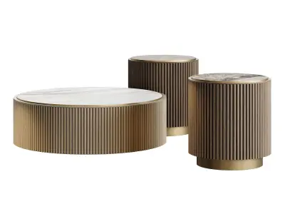 Ana Roque PLUM Coffee Table Low-poly 3D model