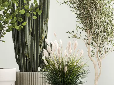 Plants for the street and interior in concrete pots 1212 3D model