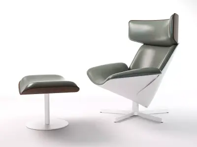 Almora lounge chair and ottoman 3D model