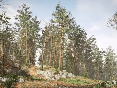 Rocky Pine Trees Forest Biome Low-poly 3D model