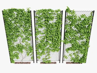 Ivy on fence three 3D model