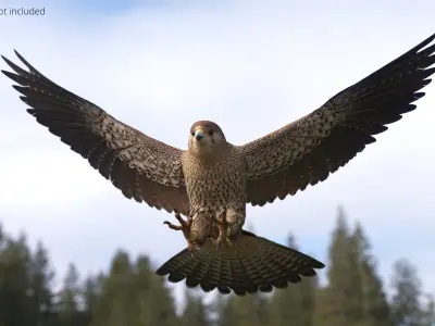  Falcon Bird Attack Pose Brown 
