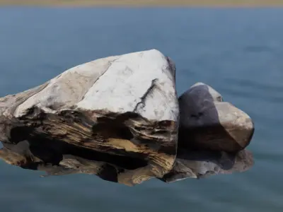 Rocks piece of wood floating in water Low-poly 3D model