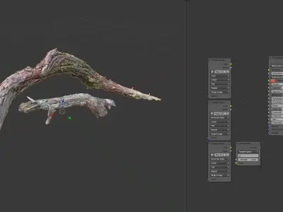 Dead twisted tree 3d scan 5 3D model