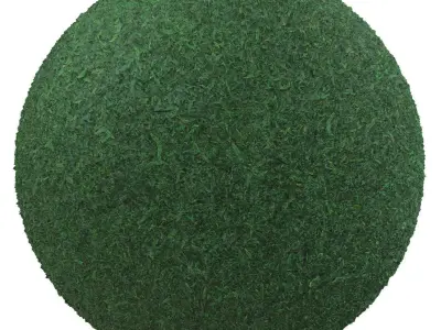 grass texture Texture