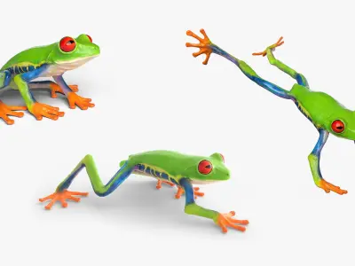  Red Eyed Tree Frog Animated Rigged for Blender Collection 