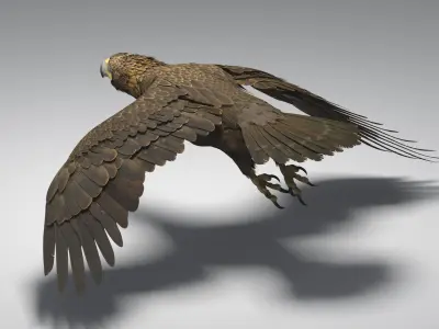  Golden Eagle Animated 