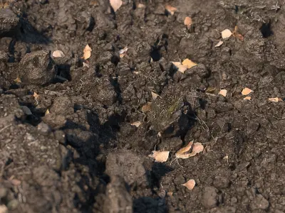 Ultra realistic Dirt pit Scan Low-poly 3D model