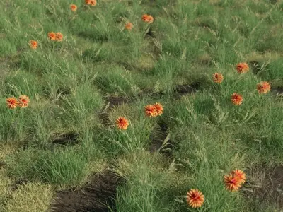 growing grass animation 3D model