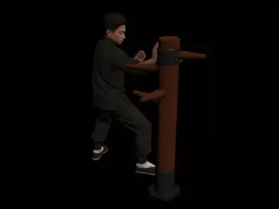 Wing Chun  3D model