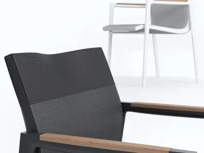 Dedon Dean Armchair 3D model