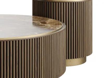 Ana Roque PLUM Coffee Table Low-poly 3D model