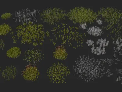 Moss and lichens Low-poly 3D model