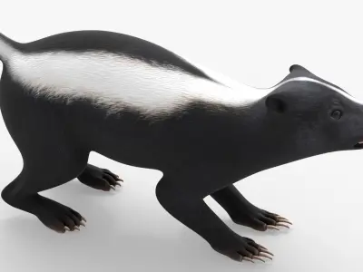  Skunk Animal Rigged for Blender 