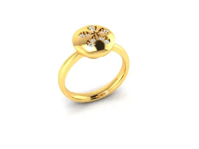 Women Ring  Render 3dm STL OBJ FBX Details 3D print model 53