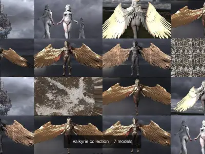 Valkyrie collection  3D Model Pack