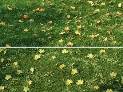 Lawn with fallen leaves 3D model