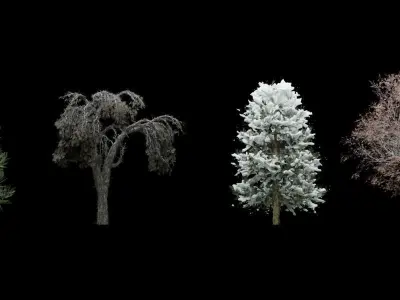 Low Poly Trees Scatter 3D model