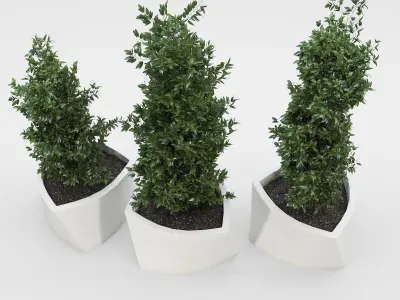 BILBAO three planters 3D model
