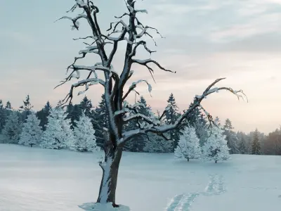 Photorealistic Apple Trees  Low-poly 3D model