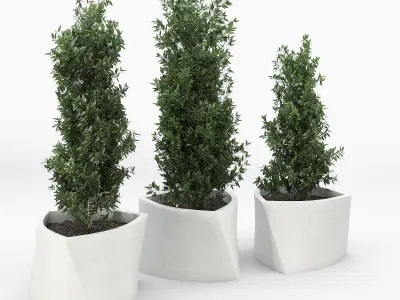 BILBAO three planters 3D model