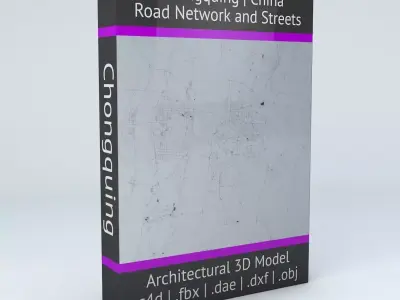 Chongquing Road Network and Streets 3D model