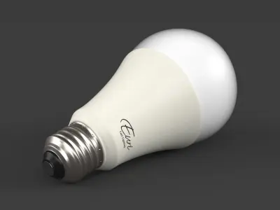 Light Bulb 3D model