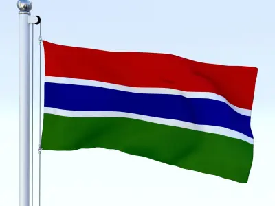 Animated Gambia Flag Low-poly 3D model