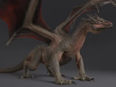  Dragon XO Rigged 
