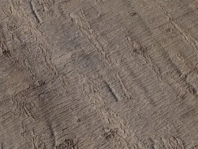 Realistic Tree Bark PBR Texture Texture