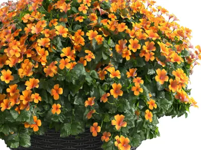Hanging basket flowerpot rattan pot with flowers 3D model