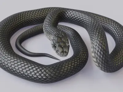  Animated Black Mamba 