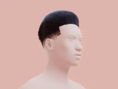 Flat Top Hair 3D model