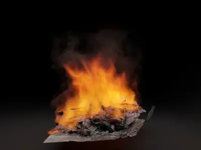 Burning garbage pile vdb 3D model